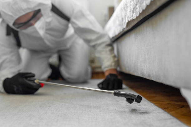 Professional Pest Control technician working in Shelbyville, IN