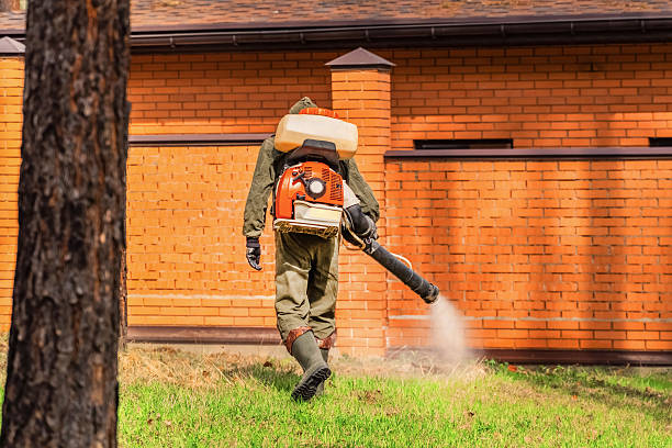 Trusted Emergency Pest Control service in Shelbyville, IN - Nex Pest Control